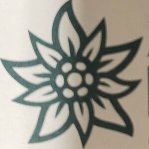 Black Puffer Jacket Converts to Vest